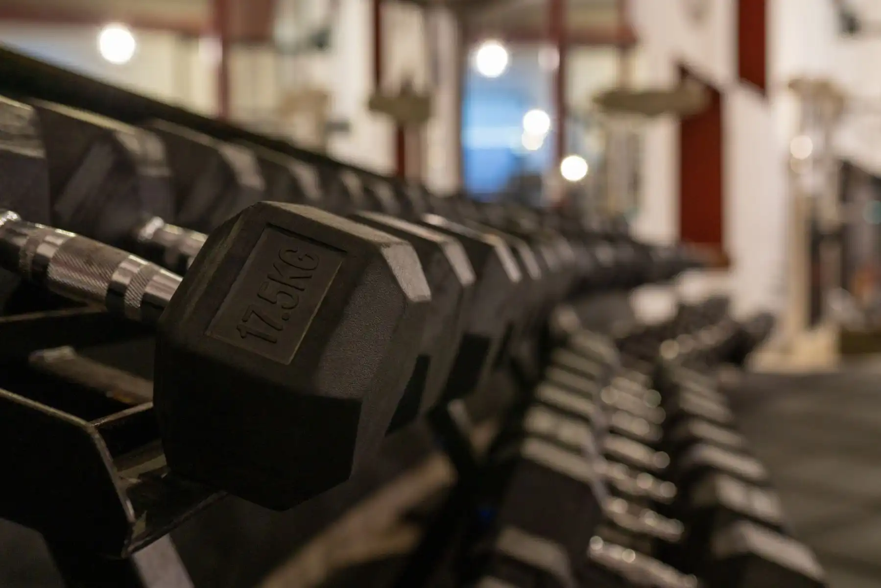 fitness equipment 